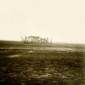 Lastra di vetro stereoscopica sulla Prima Guerra Mondiale