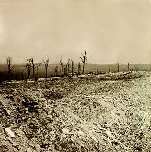 Lastra di vetro stereoscopica sulla Prima Guerra Mondiale