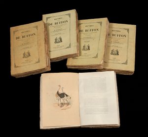Le opere complete di Buffon (1707 - 1788), collezione privata