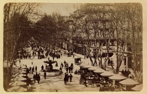 La città di Marsiglia e i suoi dintorni circa 1885-1890: La Passeggiata dei Fiori, Corsi Saint Louis, Collezione privata da Anonymous Anonymous