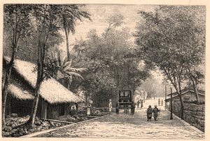 Veduta di una strada di Colombo a Ceylon (Sri Lanka). Incisione in 