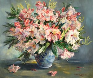 Rododendri