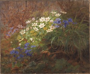 Anemoni