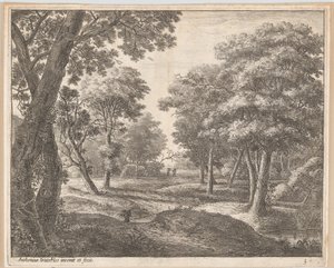 Un sentiero nel bosco da Anthonie Waterloo