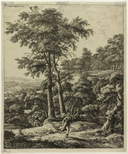 Apollo e Dafne da Anthonie Waterloo