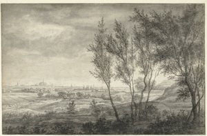 Veduta di Haarlem dalle dune da Anthonie Waterloo