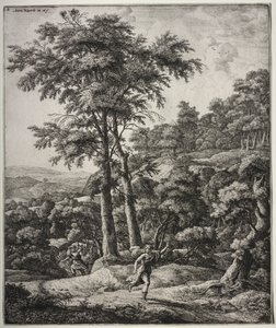 Sei grandi paesaggi verticali con scene dalle Metamorfosi di Ovidio: Apollo e Dafne da Anthonie Waterloo
