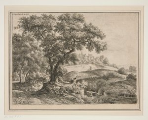 Il bordo del bosco con villaggio sulle alture
