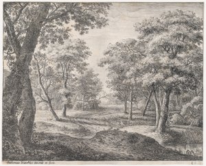 La strada attraverso il bosco