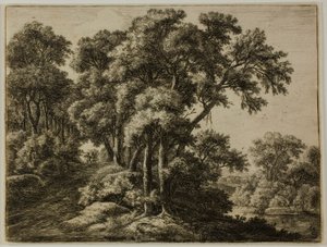 Il sentiero boscoso da Anthonie Waterloo