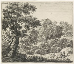 Due cavalieri su un sentiero boscoso