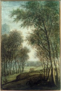 Margine del bosco da Anthonie Waterloo
