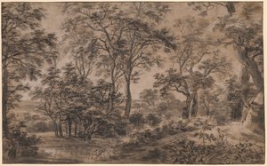 Paesaggio boscoso da Anthonie Waterloo