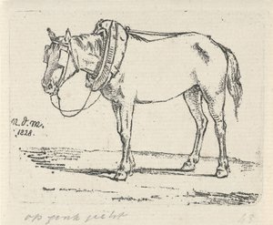 Cavallo bardato