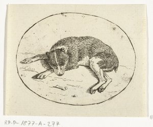 Cane sdraiato da Anthonie van den Bos