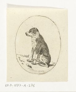 Cane seduto da Anthonie van den Bos