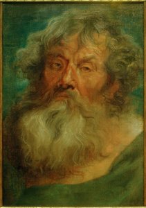 Testa di un vecchio da Anthony van Dyck