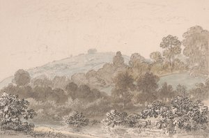 Paesaggio con ruscello in primo piano da Anthony Devis