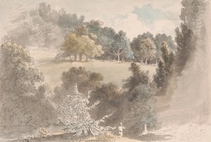 Paesaggio con alberi da Anthony Devis