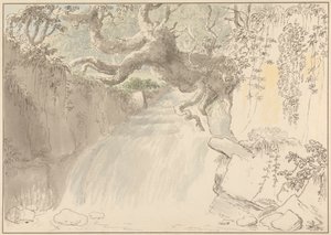 Cascata e Tronco d