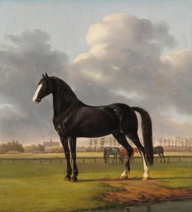 Il trottatore di Adriaan van der Hoop 
