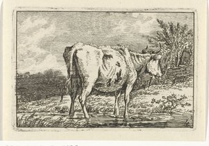 Mucca in piedi in una pozza Mucche (serie) da Anthony Oberman