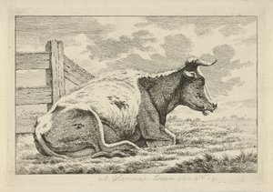 Mucca sdraiata vicino a una recinzione (serie: Studi di mucche, pecore e capre) da Anthony Oberman