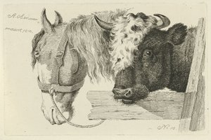 Testa di cavallo e testa di toro