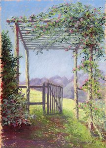 La strada verso il campo