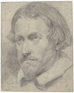 Testa di uomo da Anthony van Dyck (possibly)