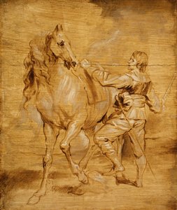 Un uomo che monta un cavallo da Anthony van Dyck