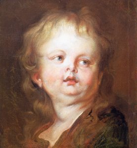 Testa di un ragazzo da Anthony van Dyck