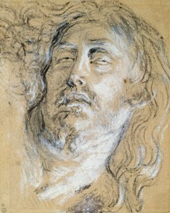 Testa del Cristo morto da Anthony van Dyck