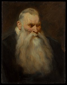 Studio di testa di un vecchio con barba bianca da Anthony van Dyck