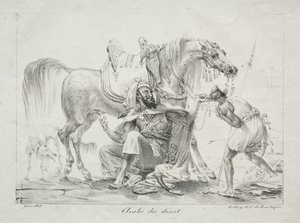 Arabo del deserto da Antoine-Jean Gros
