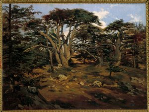 I vecchi cedri sul Monte Libano a Boumana da Antoine Alphonse Montfort