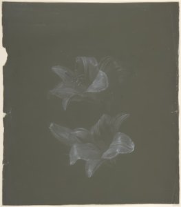 Design floreale da Antoine Berjon