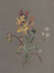 Disegno floreale