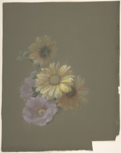 Margherite gialle e rosa selvatica rosa