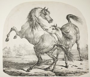 Cavalli selvaggi che combattono, c.1820