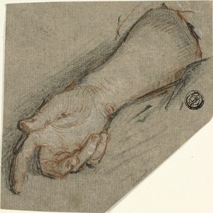Dorso della mano e avambraccio da Antoine Coypel