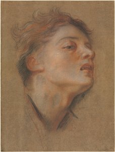 Testa di un giovane uomo, 1715-1717 da Antoine Coypel