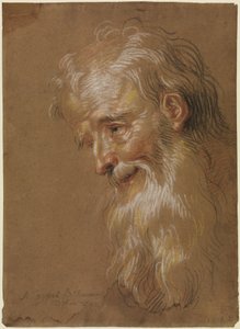 Testa di vecchio barbuto da Antoine Coypel