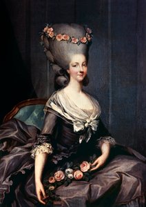 Maria Teresa di Savoia-Carignano, principessa di Lamballe
