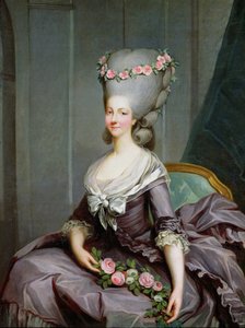 Marie-Therese de Savoie-Carignan (1749-92) Principessa di Lamballe da Antoine François Callet