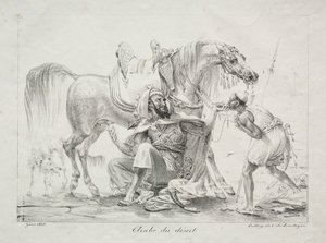 Arabo del deserto da Antoine Jean Gros