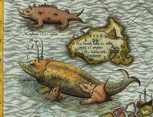 (dettaglio) di Una mappa del mare (Carta marina) di Olaus Magnus (1490-1557) da Antoine Lafrery