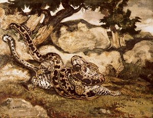 Un pitone che uccide una tigre da Antoine Louis Barye
