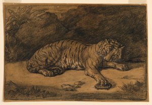 Una tigre e una tartaruga da Antoine Louis Barye