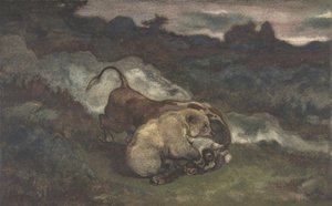 Orso che uccide un toro